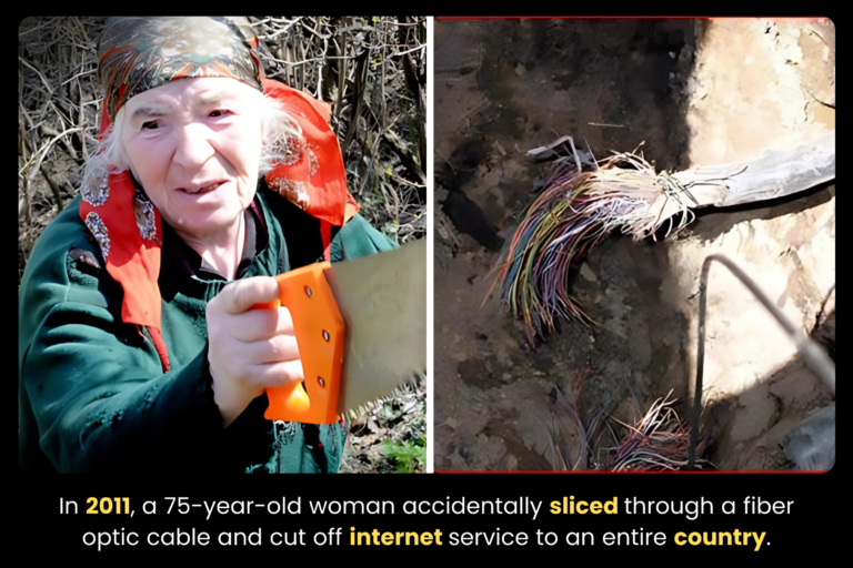 75-Year-Old Woman Cut Off An Entire Country's Internet